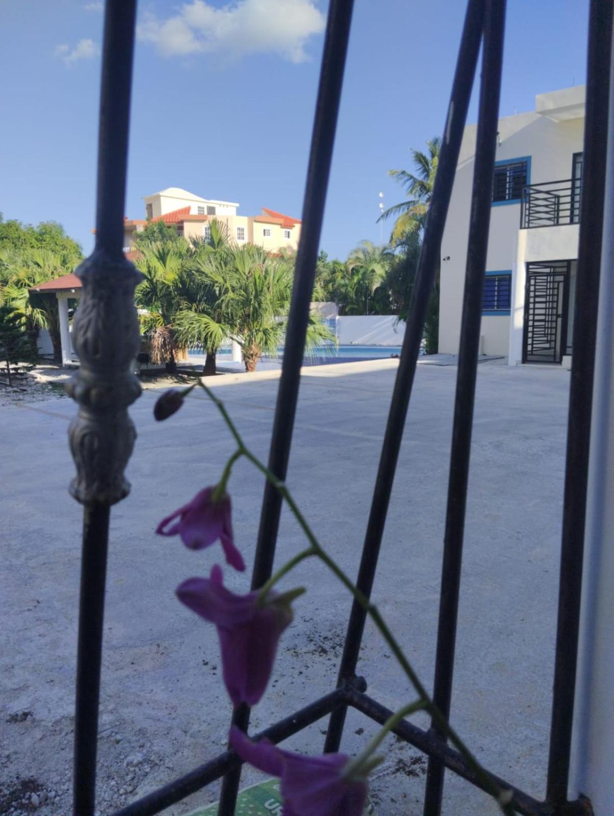 Nely Y Pietro Share Apartment Punta Cana Luaran gambar